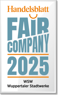 Auszeichnung des Handelsblatts Fair Company 2025